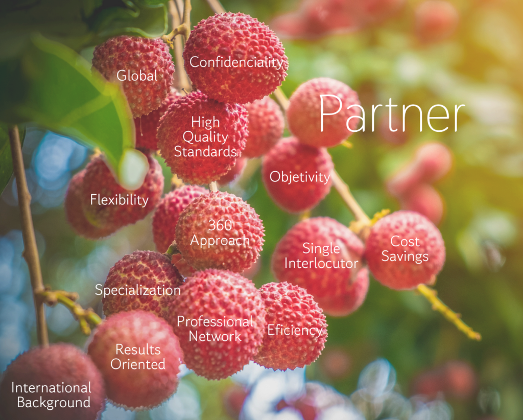 Frutas lichi en un árbol con palabras clave sobre headhunting, selección de talento y reclutamiento.